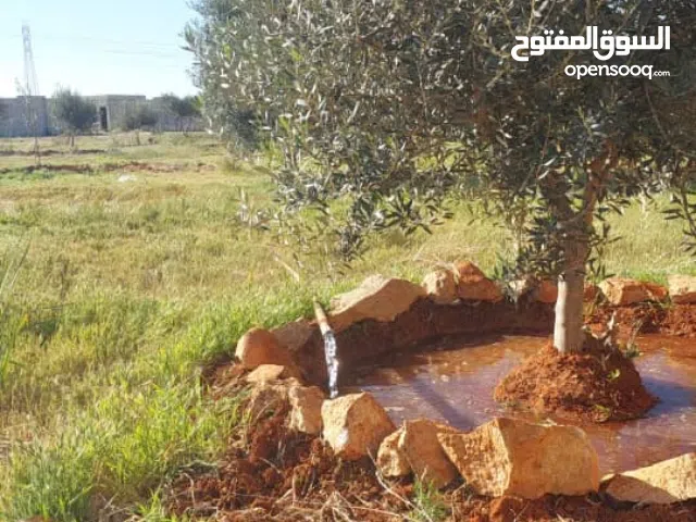 مزرعه سيدي فرج