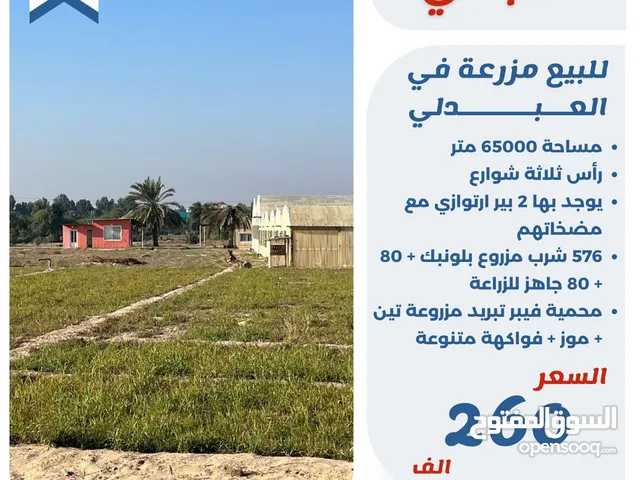4 Bedrooms Farms for Sale in Al Jahra Abdali
