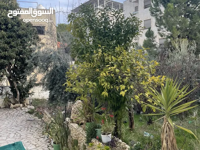 115 m2 2 Bedrooms Apartments for Sale in Amman Swelieh