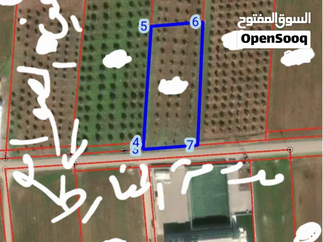 Farm Land for Sale in Irbid Al Sareeh