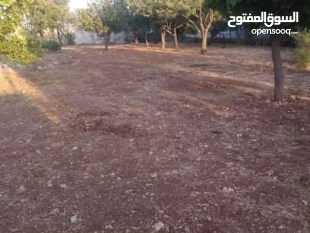 Farm Land for Sale in Salt Al Balqa'