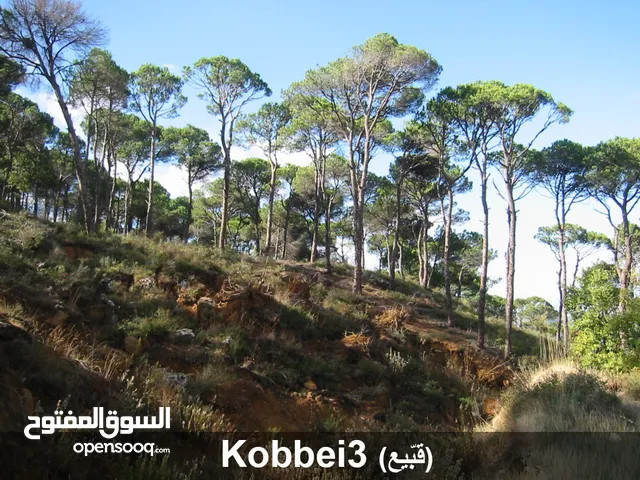 Land in Kobbeih for Sale 1024