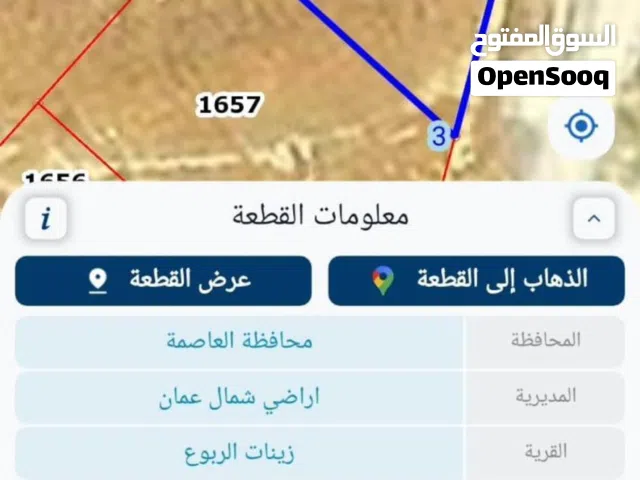 ارض سكنيه في زينات الربوع للبيع
