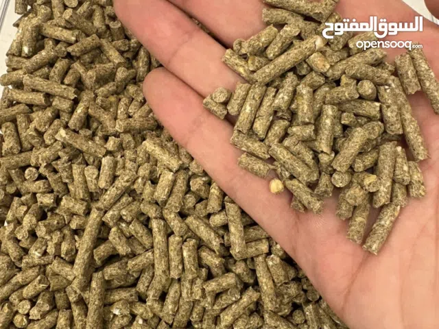 مستلزمات الارنب