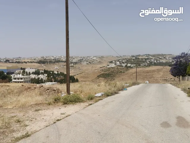 Farm Land for Sale in Salt Al Saro