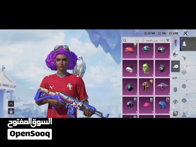 Pubg Accounts and Characters for Sale in Southern Governorate
