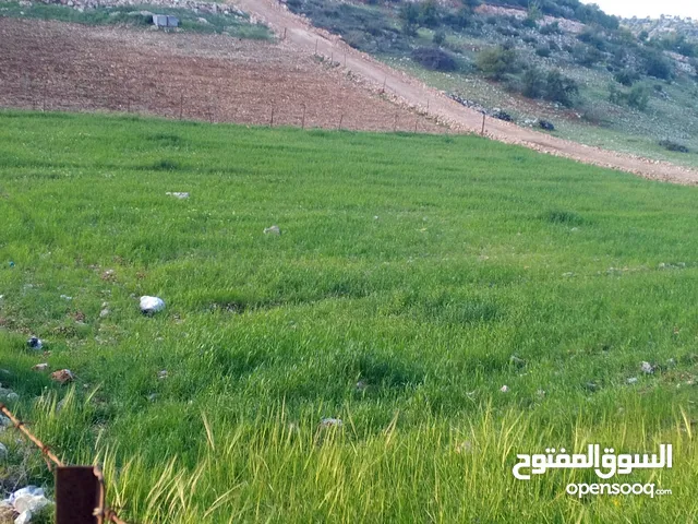 Farm Land for Sale in Ajloun I'bbeen