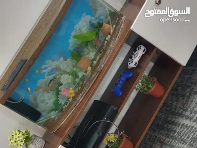 حوض سمك للبيع معو 6 سمكات