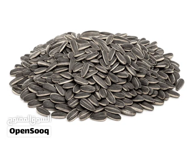 متاح للبيع جملة حب دوار الشمس بالقشر ومتاح بدون قشر