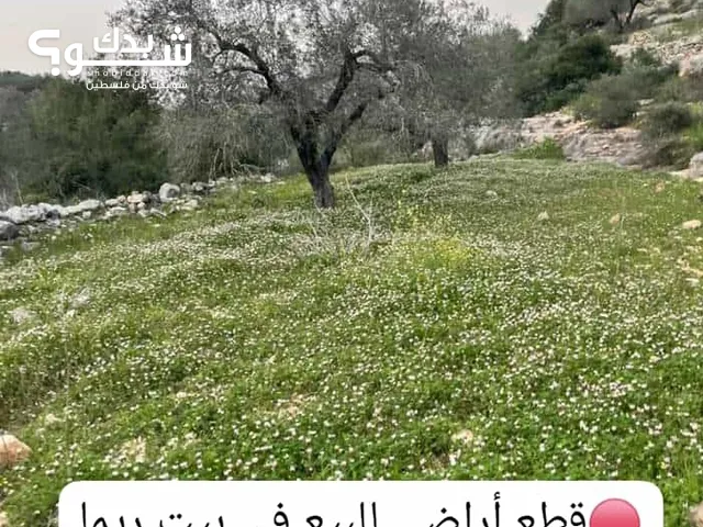 قطعة ارض للبيع بسعر مغري في بيت ريما ، تبعد نصف ساعة عن رام الله و 10 دقائق عن بيرزيت