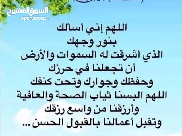 مدينه بدر القاهره شقه