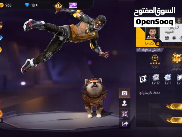 Free Fire Accounts and Characters for Sale in Al Batinah