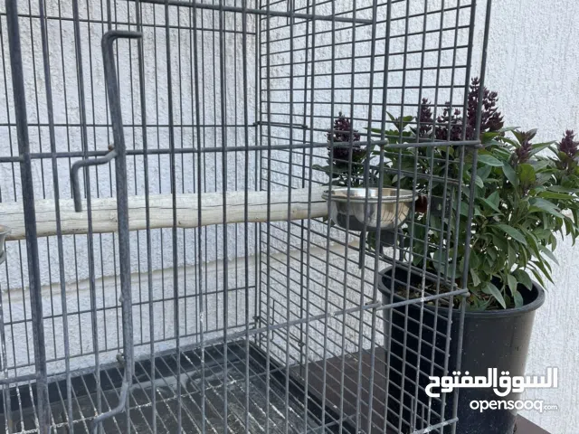 للبيع قفص كبير