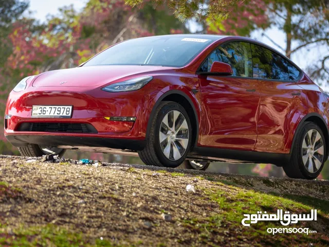 Tesla Y 2021 Standard plus - Autoscore A