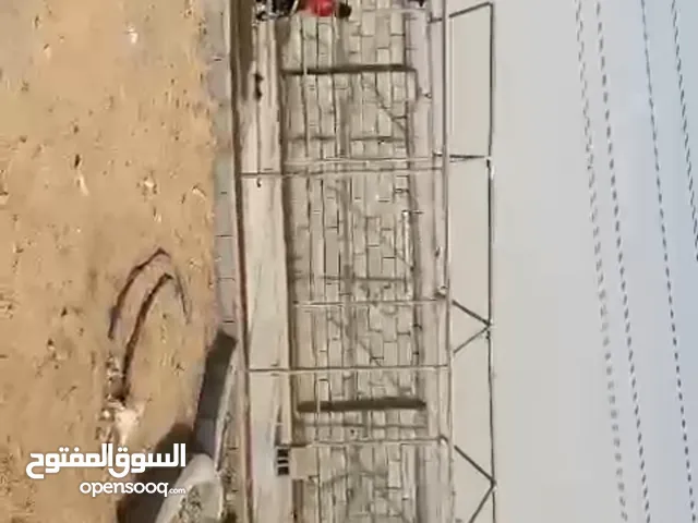 خيمة امراتيه
