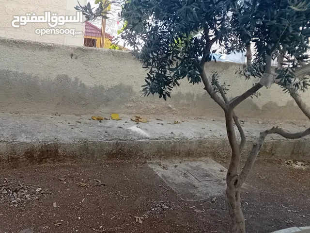 110 m2 2 Bedrooms Apartments for Rent in Irbid Zabda