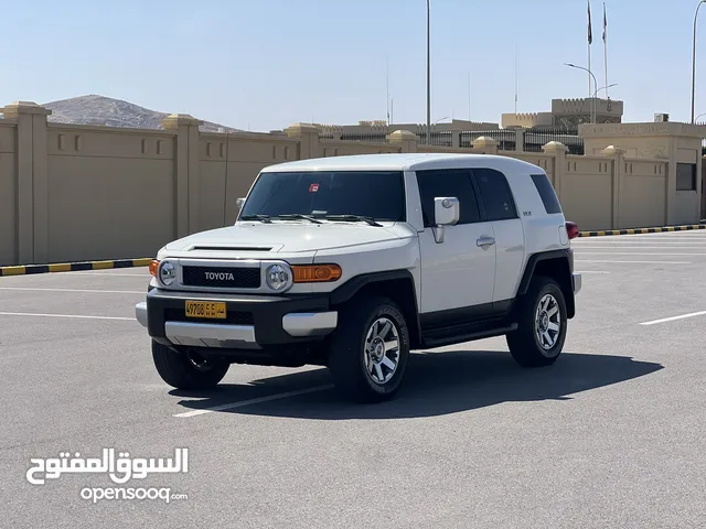 أف جي 2018 GXR صبغ وكالة