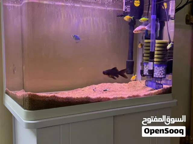 حوض سمك مزود ب كومدي قياسه 50 سم