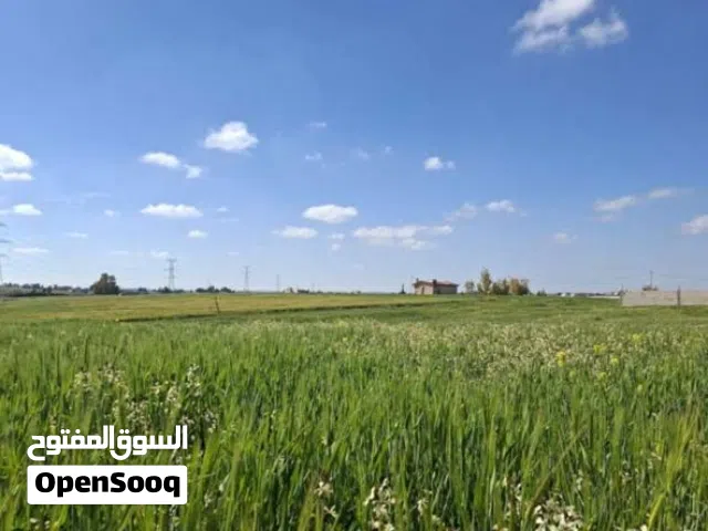 ارض 10 دنم للبيع طريق المطار باجمل مناطق ارينبة الغربية