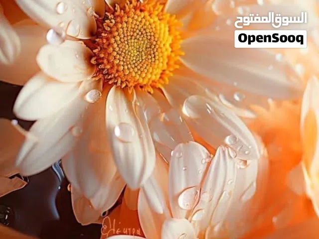 مشروع استثماري للبيع في بغداد