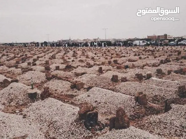على فتحي