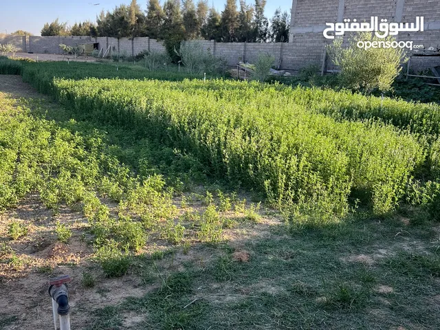 Mixed Use Land for Sale in Zawiya Western Zawiya