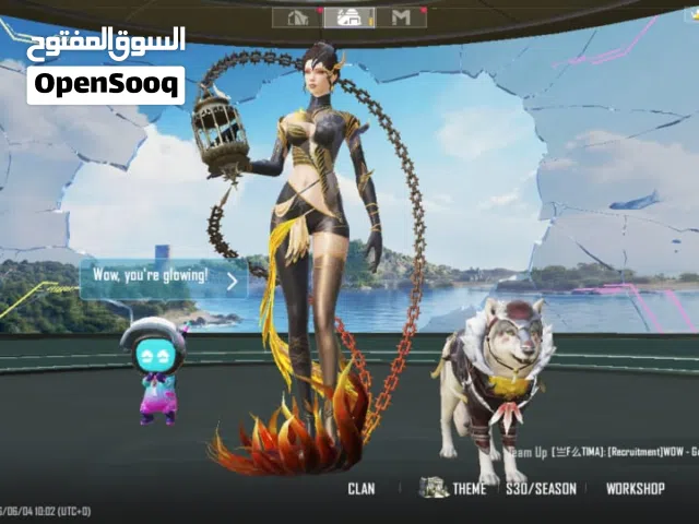Pubg account for sale