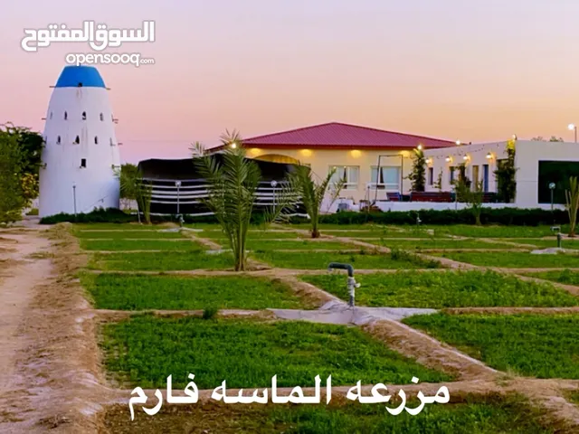 5 Bedrooms Chalet for Rent in Al Jahra Abdali