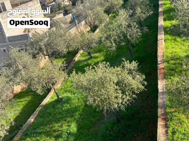 2 Bedrooms Farms for Sale in Jerash Other