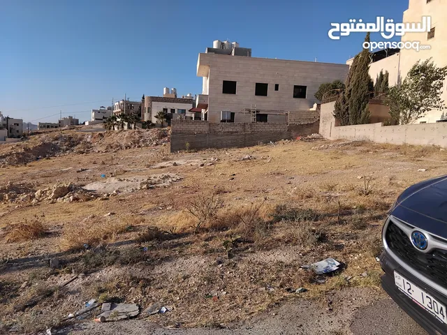 قطعة ارض للبيع حوض عيون الذيب تقع بين فلل و مستوية من المالك قربيه من مسجد الصرفند