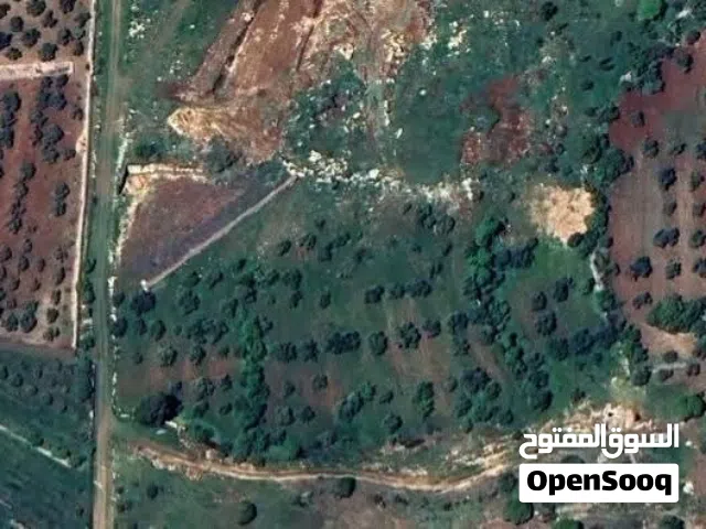Mixed Use Land for Sale in Ajloun Sakhra