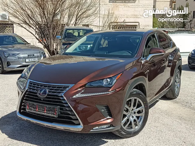 Used Lexus NX in Amman