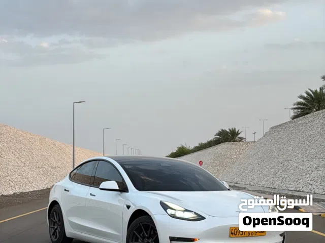 2021 تيسلا موديل 3 Standard Plus