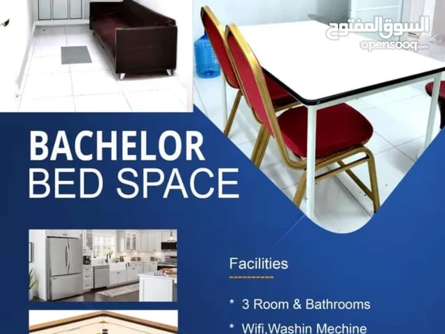 bachlor Room for rent