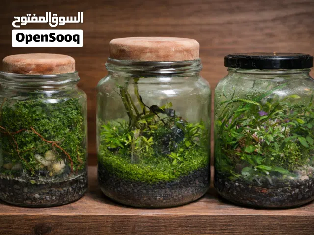 تيراريوم امتلك قطعة من الطبيعة بين يديك