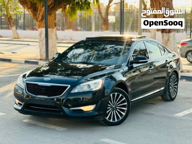 2013 Kia Other