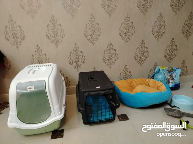 بوكس لنقل القطط وليتر بوكس وفرشة للبيع