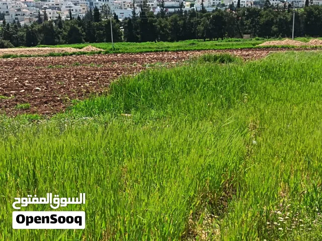 ** فرصة استثمارية نادرة على طريق المطار – لأصحاب الذوق الرفيع **