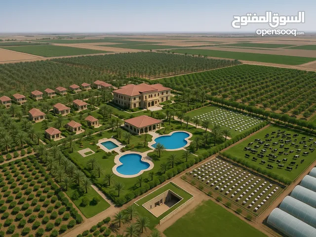 فرصة ذهبية للاستثمار مزرعة فاخرة ومنتجع للبيع في العبدلي – مساحة 200,000م رقم واحد في العبدالي