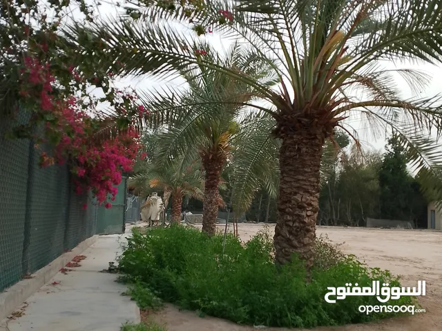 قطعة أرض طابو 250م