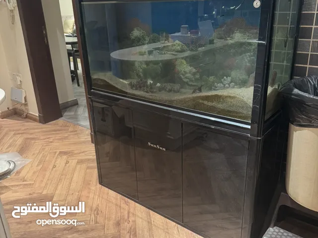 حوض سمك اكوايرم في الرياض