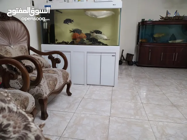 حوض متر ونص أجنبى فارغ