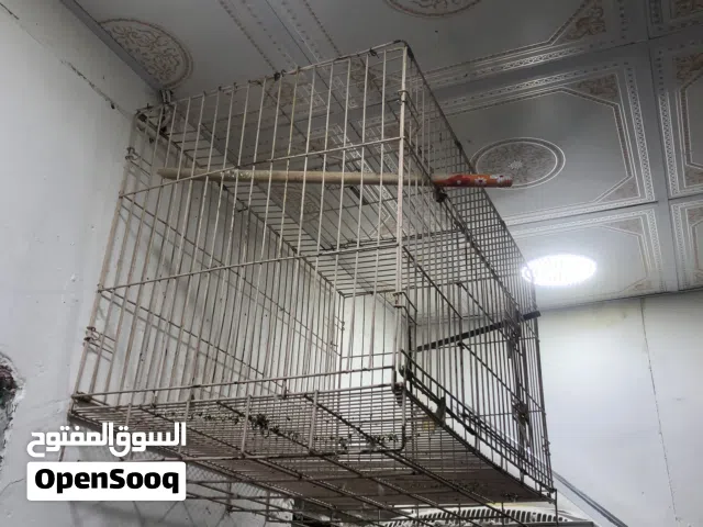 قفص حديد للبيع نضيف وجبير مال تزاوج سعره 30