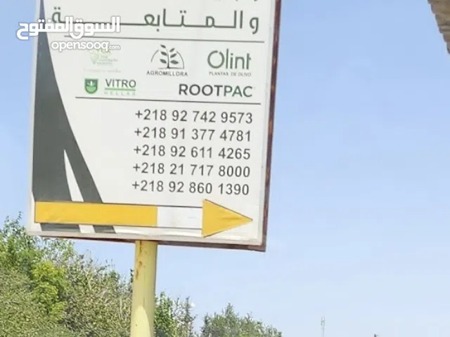 Farm Land for Sale in Tripoli Wadi Al-Rabi