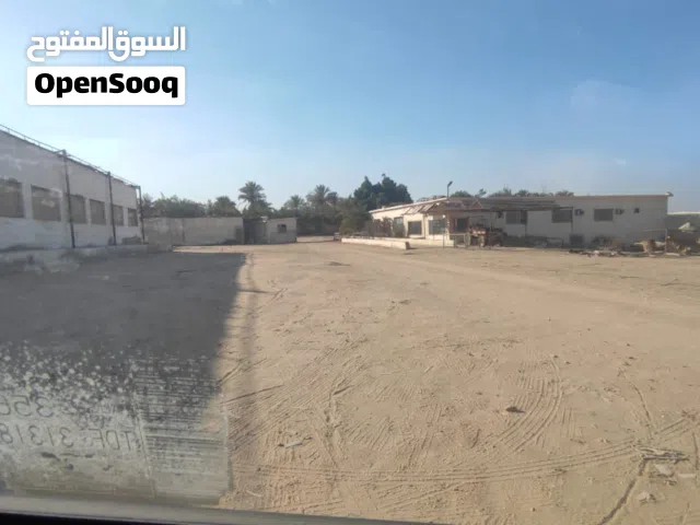 Farm Land for Sale in Beheira Other