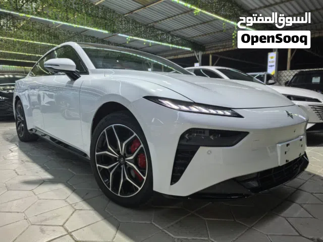 2025 Dongfeng 007
