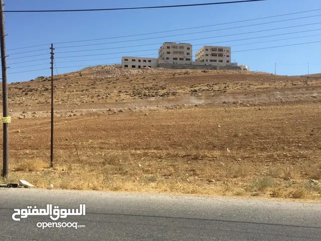 Residential Land for Sale in Amman Marj Al-Furs