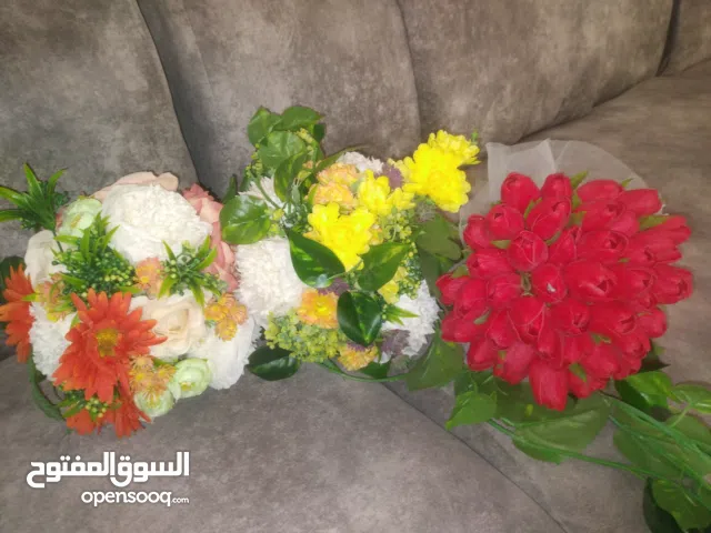 باقات ودج استعمال مره واحده