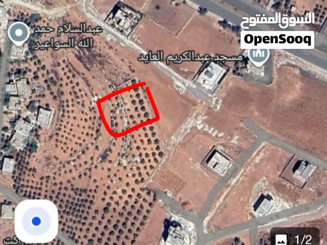 Residential Land for Sale in Amman Naour