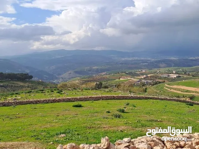 Mixed Use Land for Sale in Jerash Kufair